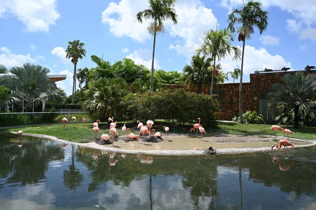Zoo de Miami
