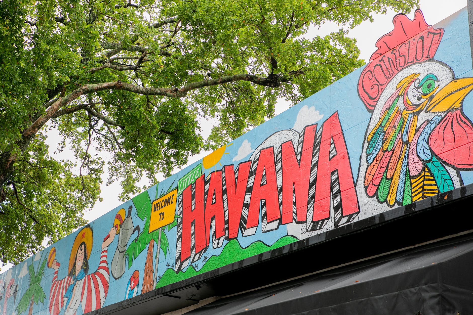 Où aller dans Little Havana Miami ?
